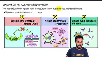 Intro to How Viruses Evade the Immune Response