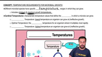 Temperature Requirements for Microbial Growth