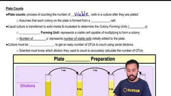 Measuring Growth by Plate Counts