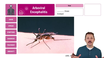 Arboviral Encephalitis