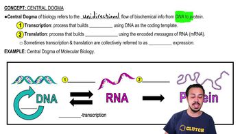 Central Dogma