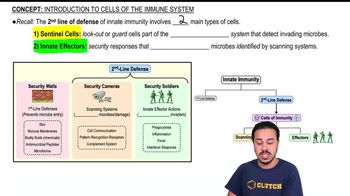 Introduction to Cells of the Immune System