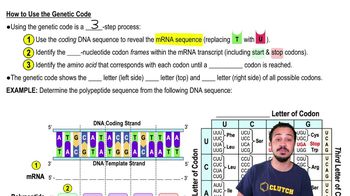 How to Use the Genetic Code