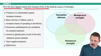 Bacterial Meningitis Example 1