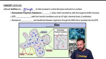 Biofilms