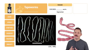 Tapeworms