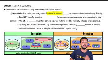 Mutant Detection