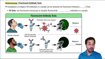 Immunoassay: Fluorescent Antibody Tests