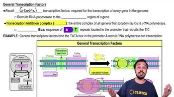 Eukaryotic Transcriptional Control
