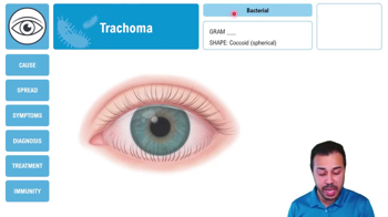 Trachoma