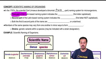 Scientific Naming of Organisms