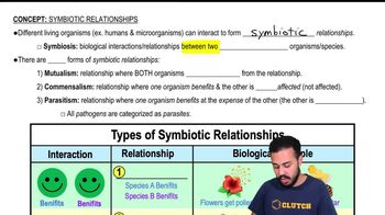 symbiosis relationships