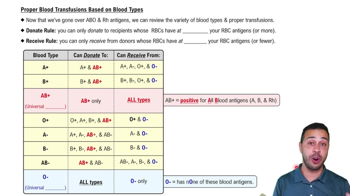 Proper Blood Transfusions Based on Blood Types