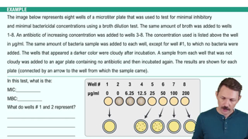 Tests to Guide Antimicrobial Use Example 1