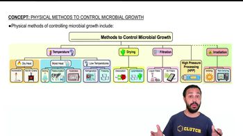 Physical Methods to Control Microbial Growth