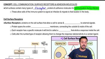 Cell Surface Receptors