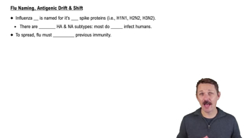 Flu Naming, Antigenic Drift & Shift