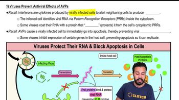 1) Viruses Prevent Antiviral Effects of AVPs