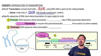 Introduction to Transcription