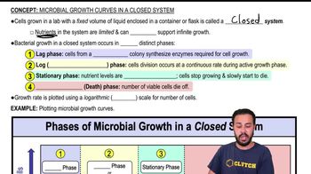 Microbial Growth Curves in a Closed System