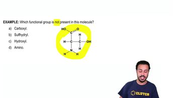 Functional Groups Example 1