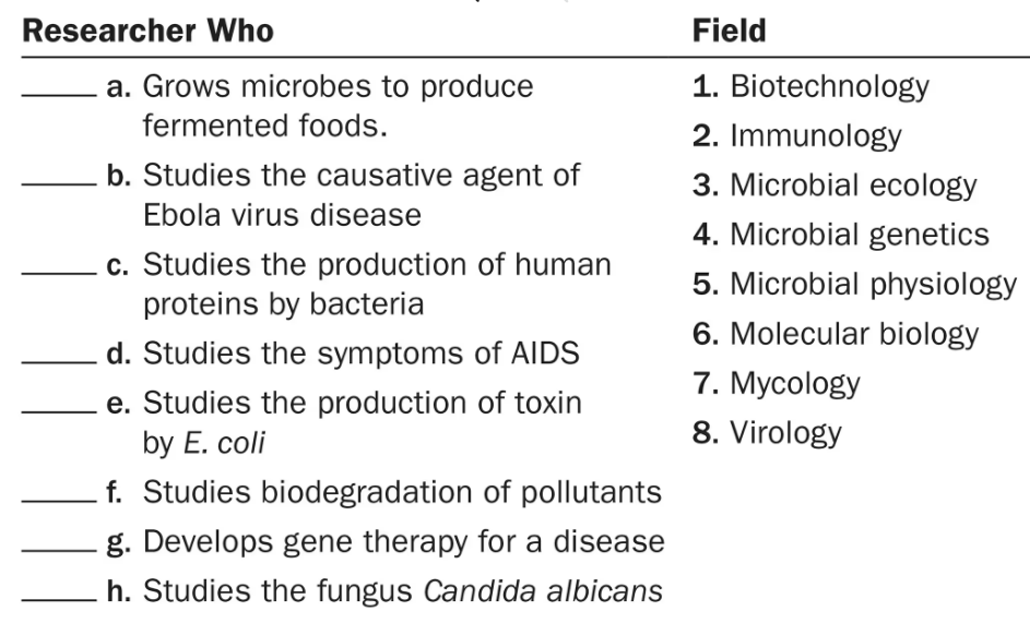 Matching exercise listing researchers' study areas with corresponding microbiology fields numbered one to eight.