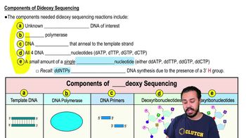 Components of Dideoxy Sequencing