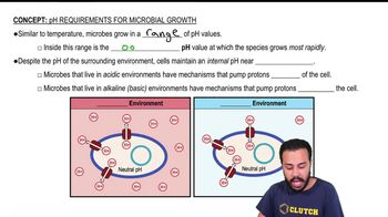 pH Requirements for Microbial Growth