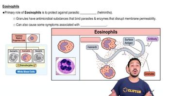 Eosinophils