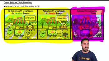 Comic Strip for T Cell Functions