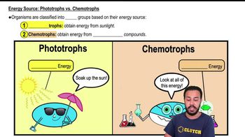Energy Source:Phototrophs vs. Chemotrophs