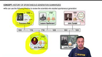 History of Spontaneous Generation Summarized