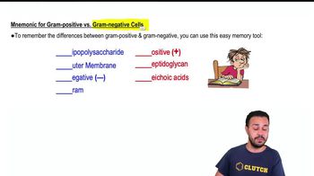 Mnemonic for Gram-Positive vs. Gram-Negative Cell Walls