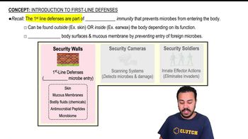 Introduction to First-Line Defenses
