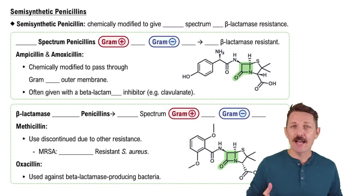 Semisynthetic Penicillins