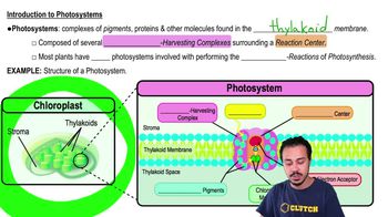Introduction to Photosystems