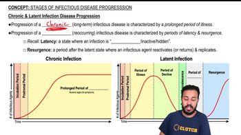 Chronic & Latent Infection Disease Progression