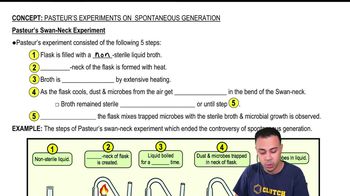 Pasteur’s Swan-Neck Experiment