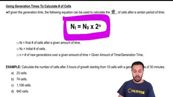 Calculating Generation Times