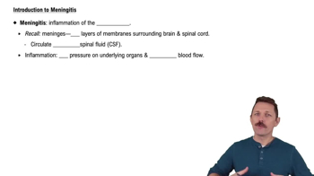 Introduction to Meningitis