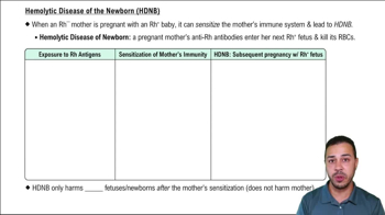 Hemolytic Disease of the Newborn (HDNB)