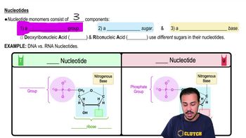 Nucleotides