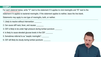 Introduction to Meningitis Example 1