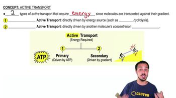 Active Transport