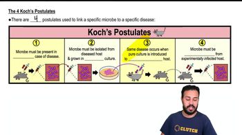 The 4 Koch's Postulates