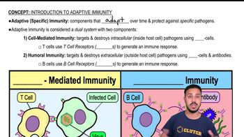 Introduction to Adaptive Immunity