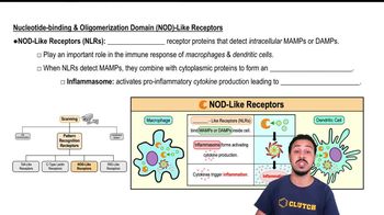 Nucleotide-binding & Oligomerization Domain (NOD)-Like Receptors