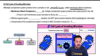 2) Cell Lysis of Invading Microbes