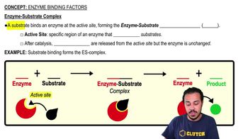 Enzyme-Substrate Complex