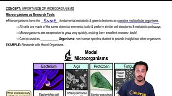 Microorganisms as Research Tools